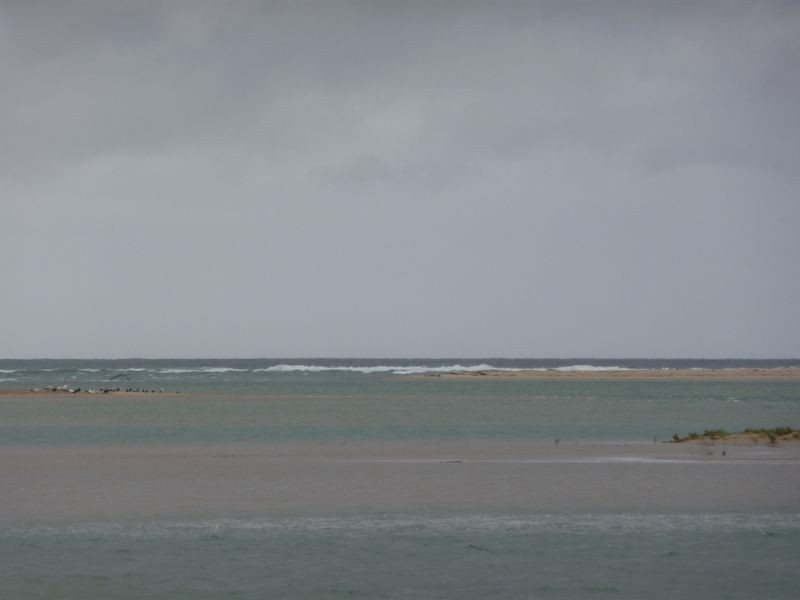 Oxley Island NSW 2430