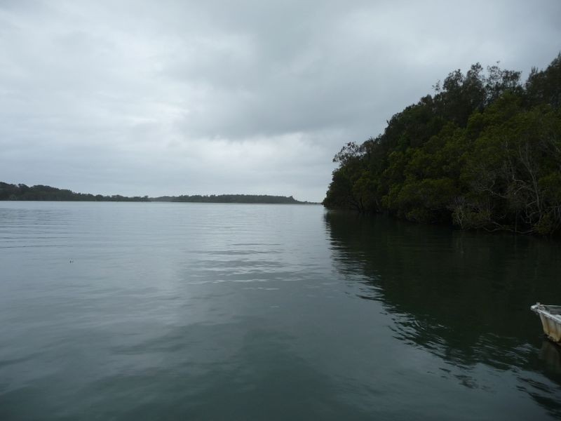 Oxley Island NSW 2430