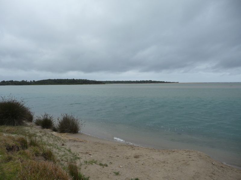 Oxley Island NSW 2430