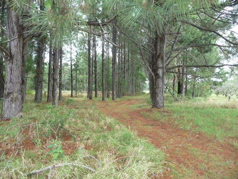 Oxley Island NSW 2430