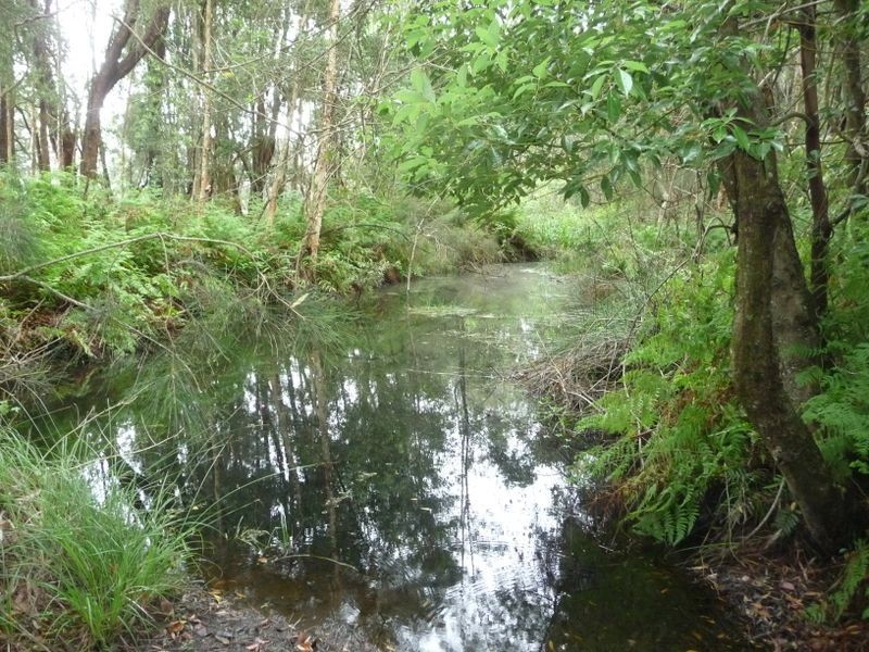 Oxley Island NSW 2430