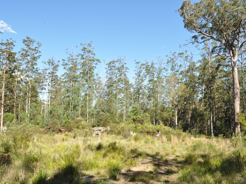 Elands NSW 2429