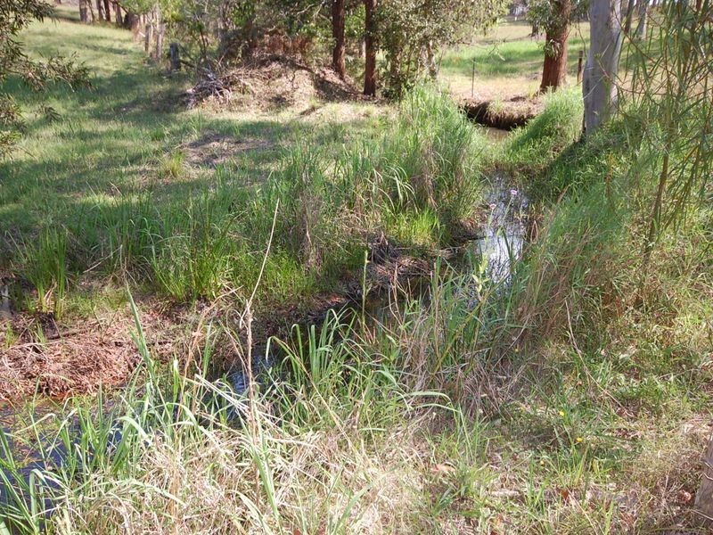 21 Bull Hill Road, Tinonee NSW 2430