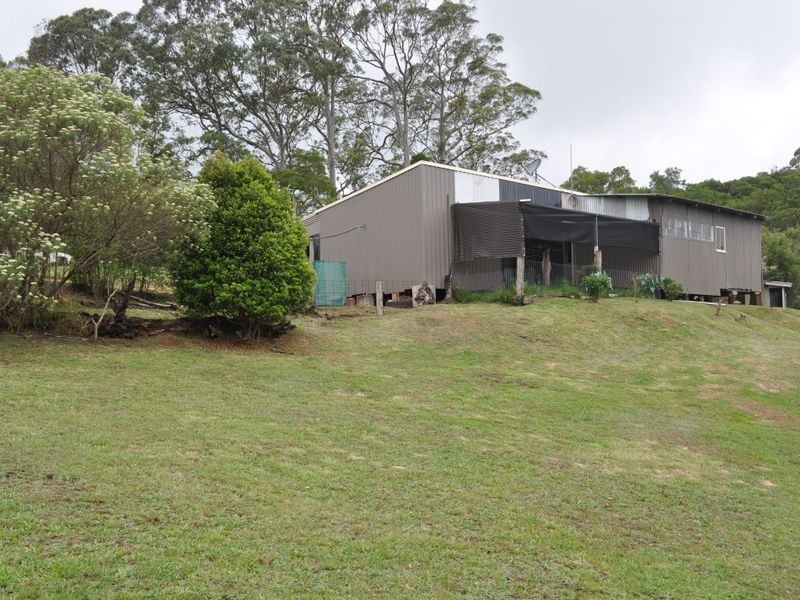 Elands NSW 2429