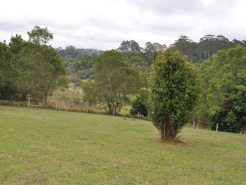 Elands NSW 2429