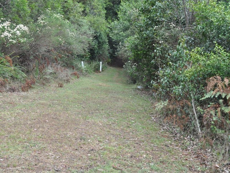 Elands NSW 2429