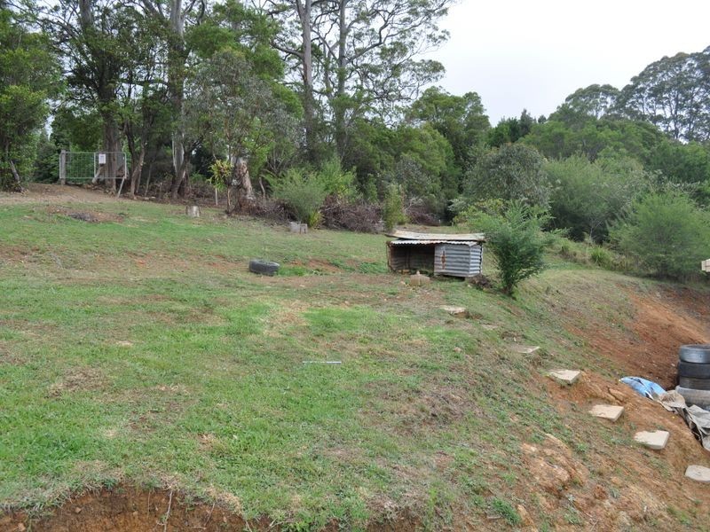 Elands NSW 2429