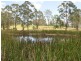 Burrell Creek NSW 2429