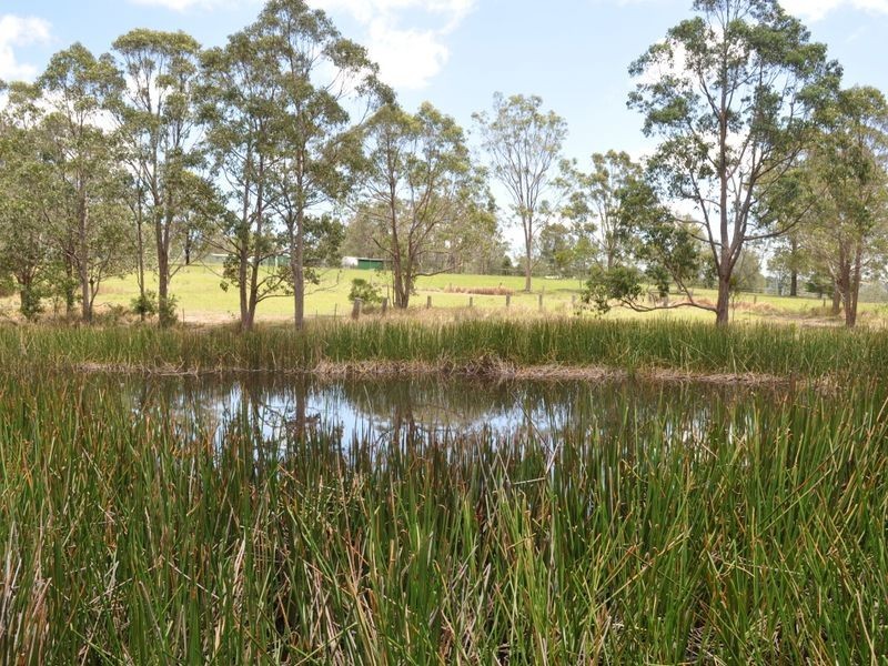 Burrell Creek NSW 2429