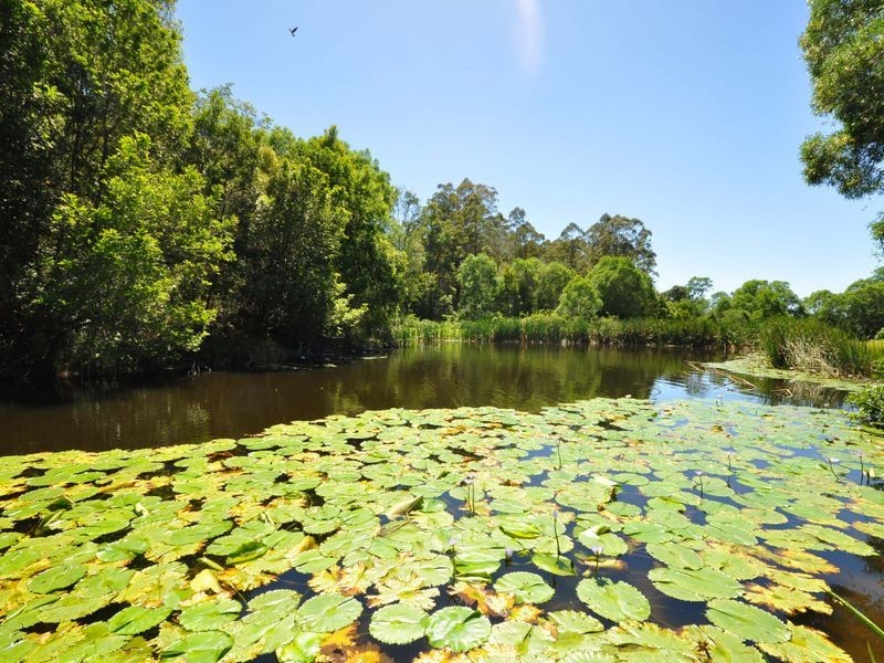 137 Yarnolds Road, Killabakh NSW 2429