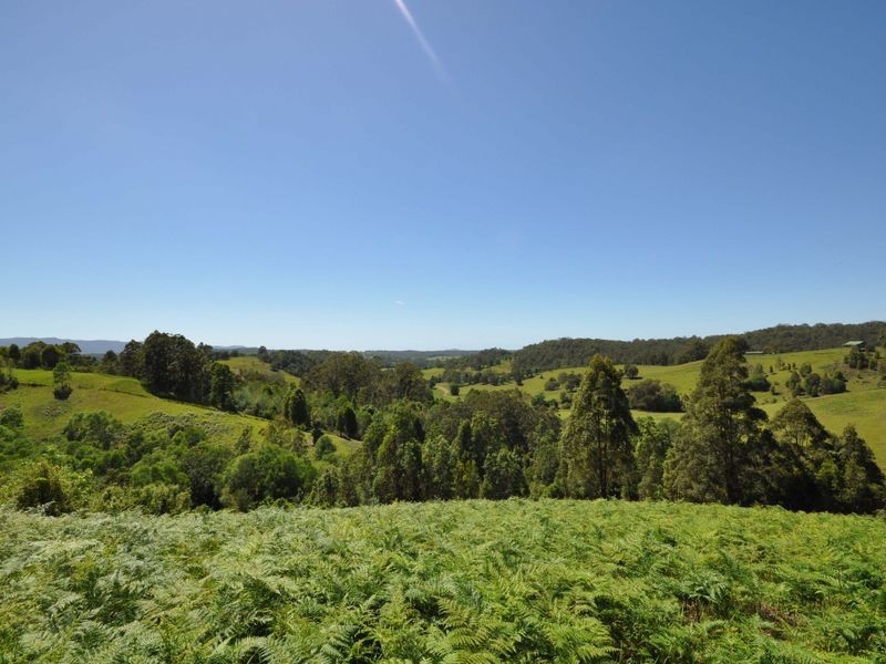 137 Yarnolds Road, Killabakh NSW 2429