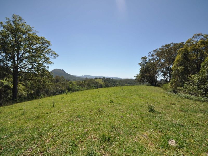 137 Yarnolds Road, Killabakh NSW 2429