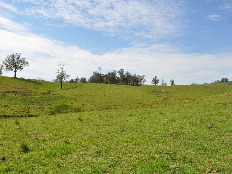 1005 Wherrol Flat Road, Wherrol Flat NSW 2429