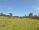 1005 Wherrol Flat Road, Wherrol Flat NSW 2429