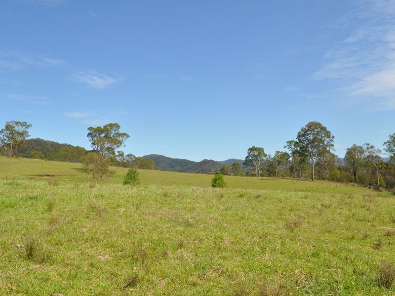 1005 Wherrol Flat Road, Wherrol Flat NSW 2429