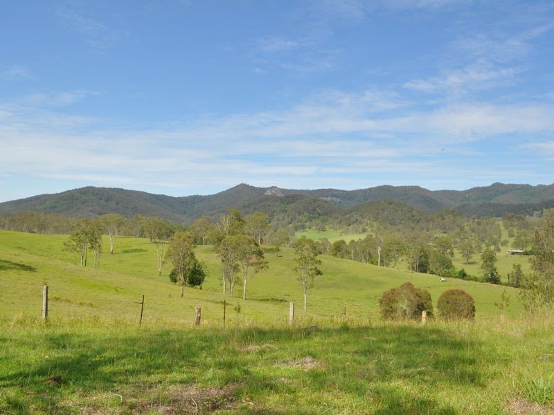 1005 Wherrol Flat Road, Wherrol Flat NSW 2429