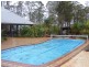 Cedar Party NSW 2429