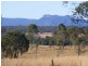 Cedar Party NSW 2429
