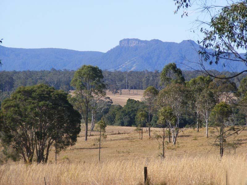 Cedar Party NSW 2429