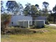 Cedar Party NSW 2429