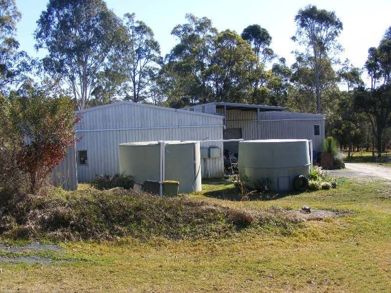 Cedar Party NSW 2429