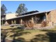 Cedar Party NSW 2429