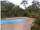 Cedar Party NSW 2429
