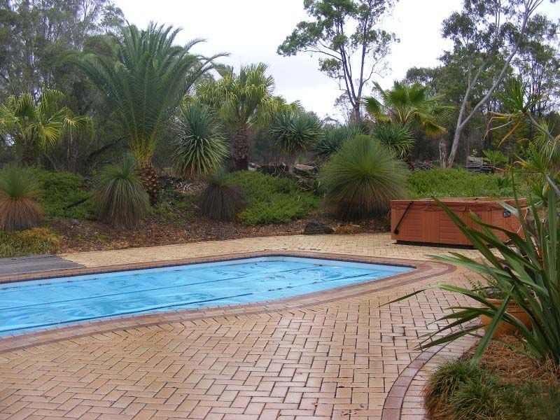Cedar Party NSW 2429