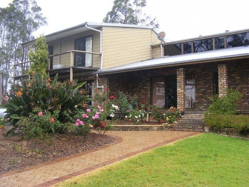 Cedar Party NSW 2429