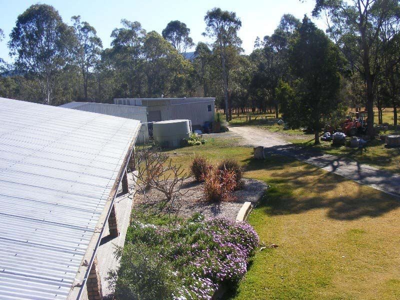Cedar Party NSW 2429