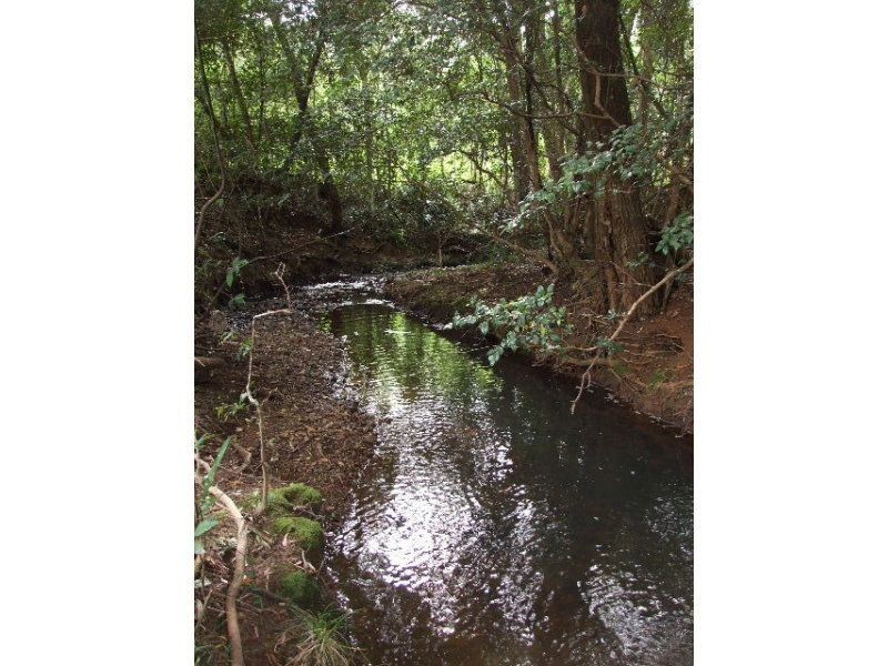 5352 The Bucketts Way, Burrell Creek NSW 2429