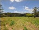 5352 The Bucketts Way, Burrell Creek NSW 2429
