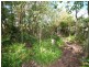 18 Mortimer Street, Wingham NSW 2429