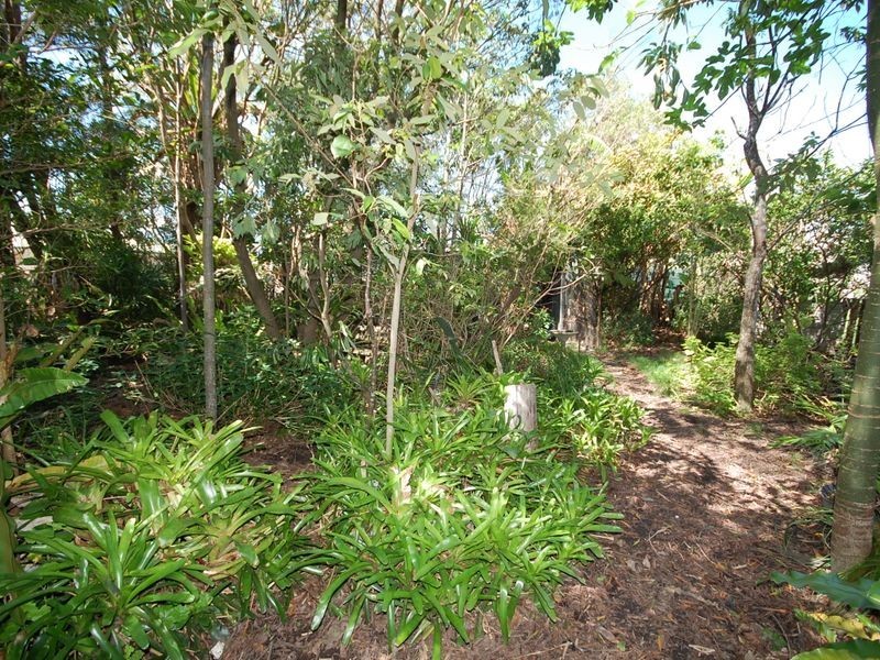 18 Mortimer Street, Wingham NSW 2429