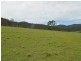 Caparra NSW 2429