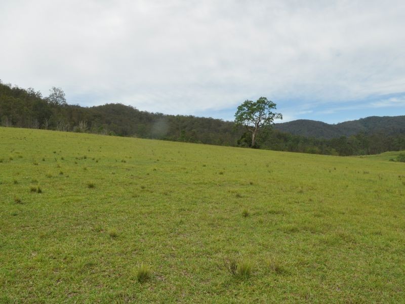 Caparra NSW 2429