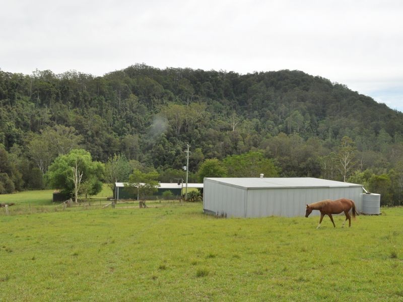 Caparra NSW 2429