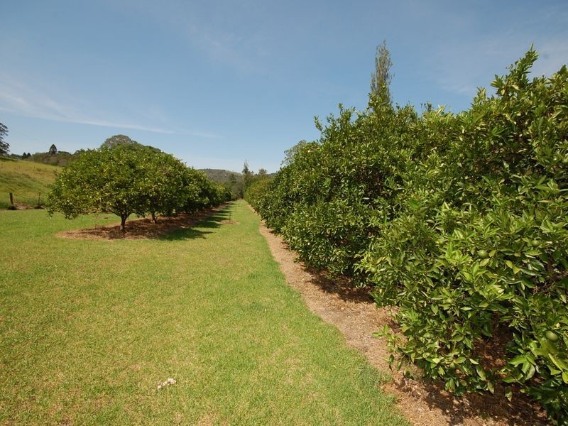 Caffreys Flat NSW 2424