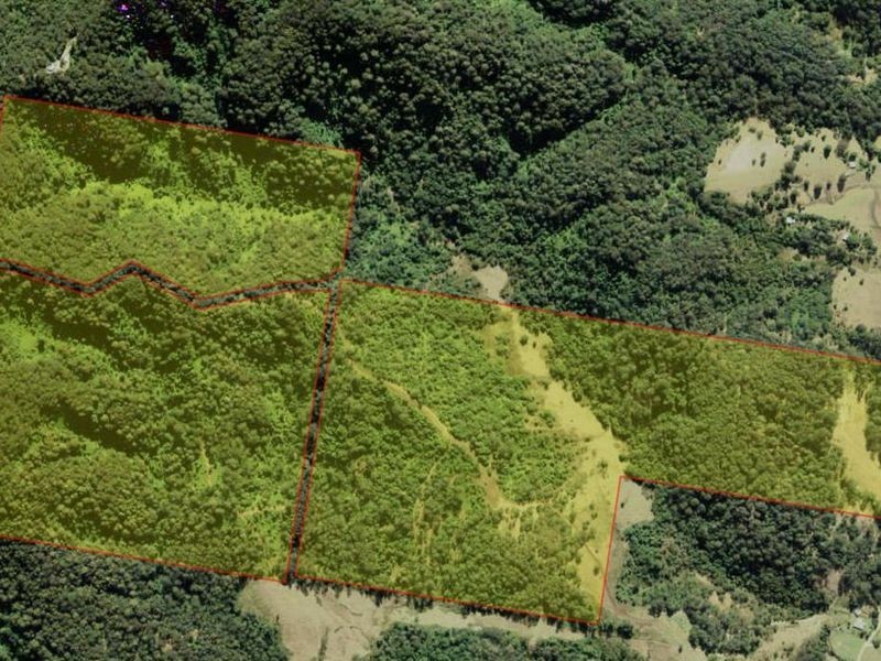 Mooral Creek NSW 2429