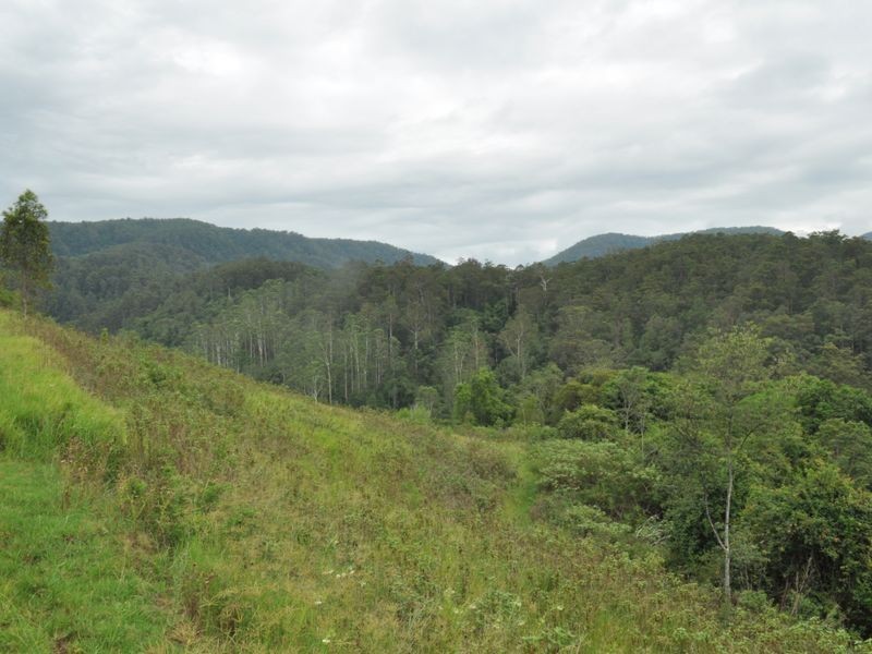 Mooral Creek NSW 2429