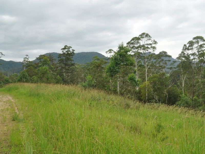 Mooral Creek NSW 2429