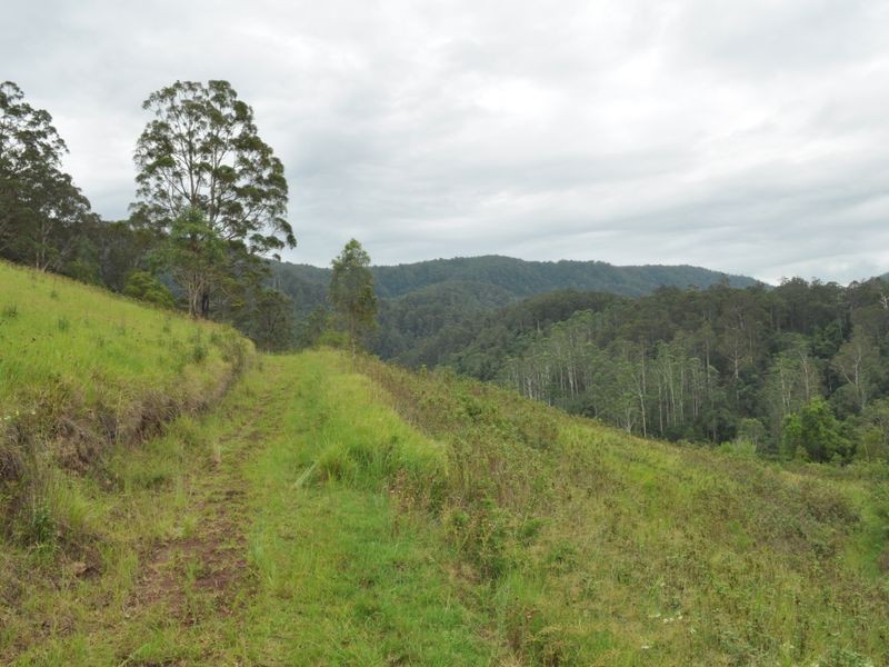 Mooral Creek NSW 2429