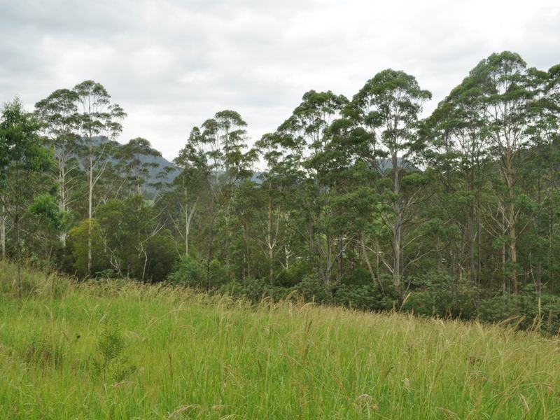 Mooral Creek NSW 2429