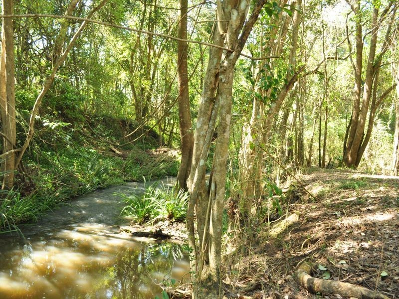 11 Pearson Place, Wingham NSW 2429