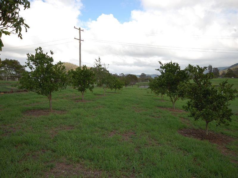 Dyers Crossing NSW 2429