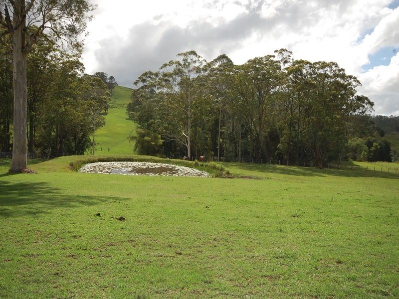 Dyers Crossing NSW 2429