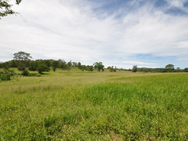 Wherrol Flat NSW 2429