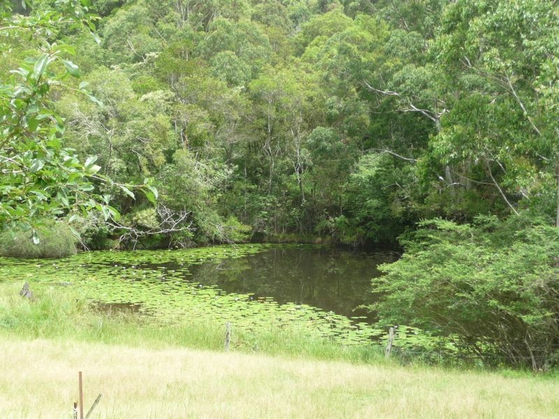 Hannam Vale NSW 2443