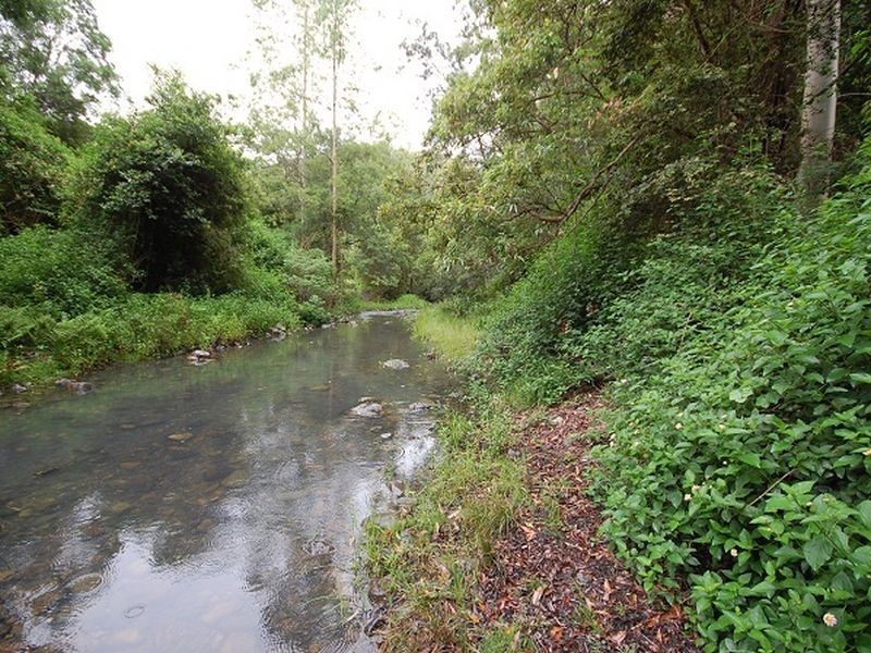 164 Connollys Creek Road, Mount George NSW 2424