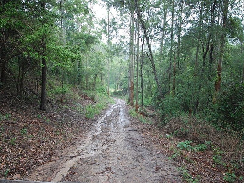 164 Connollys Creek Road, Mount George NSW 2424